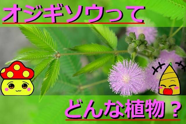 Thumbnail of post image 094